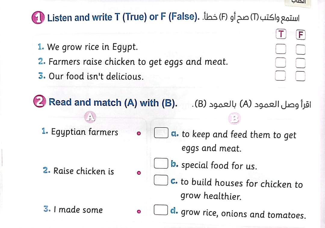 صورة 845 - اختبار اكتوبر كونكت connect 4 رابعة ابتدائى