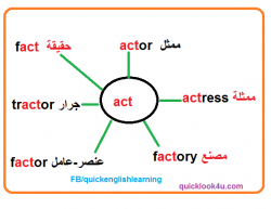 حفظ الكلمات بالخريطة الذهنية act