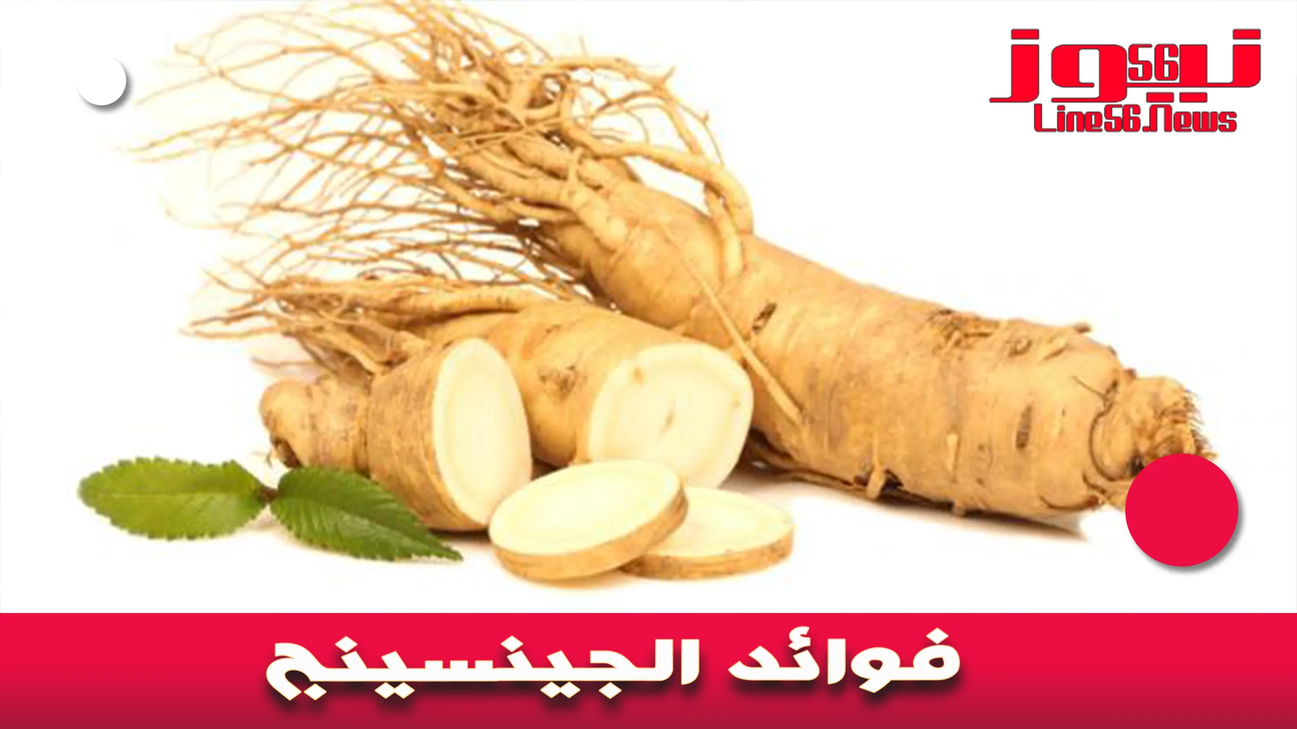 فوائد الجينسينج